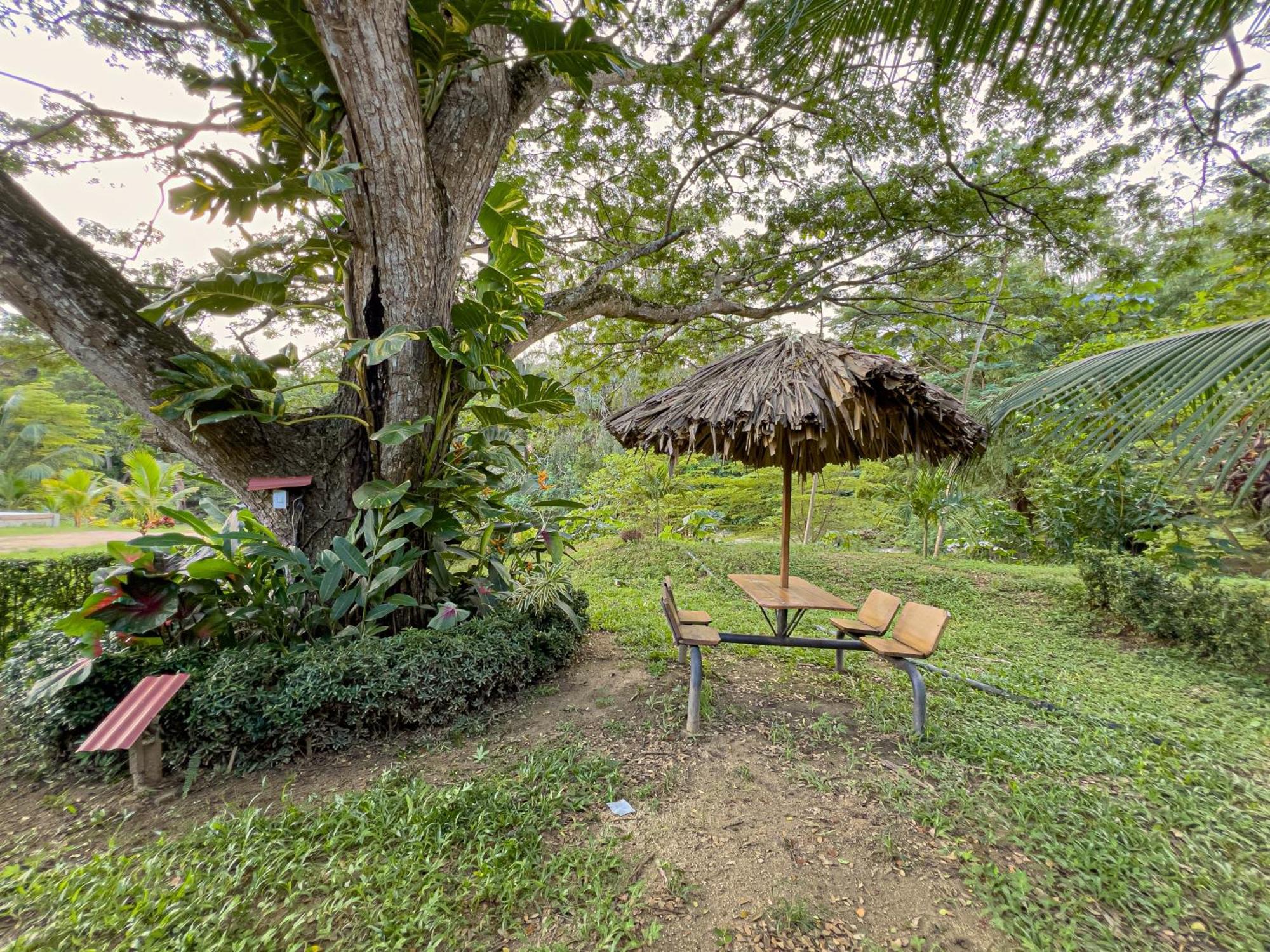 Tayrona Cachaco River Ecohostal El Zaino Exterior foto